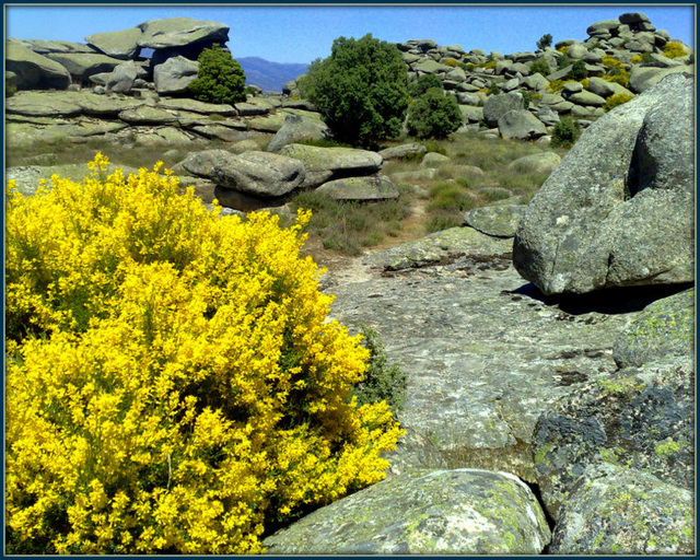 Granite and broom and spot the rock window!