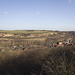 Conisbrough and Cadeby Crags viewed from North Cliff quarry, Conisbrough Crags, South Yorkshire