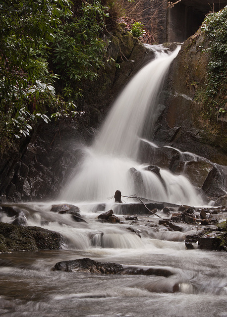 Waterfall at Wilton Lodge Park