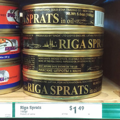 Riga Sprats (imag0654)