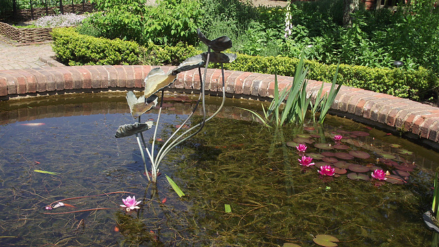Gorgeous lily pads and a lovely water feature