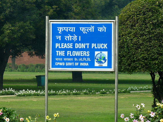 Delhi- No Plucking!