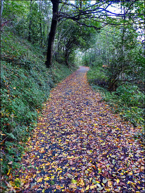 La strada di foglie
