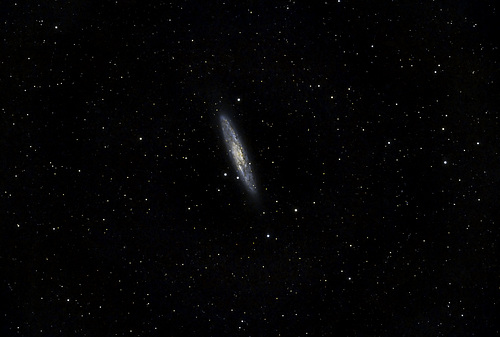 Sculptor Galaxy NGC253