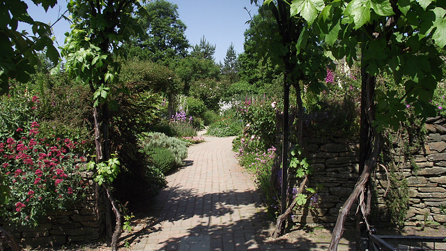 One of the many pathways around the gardens