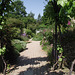 One of the many pathways around the gardens