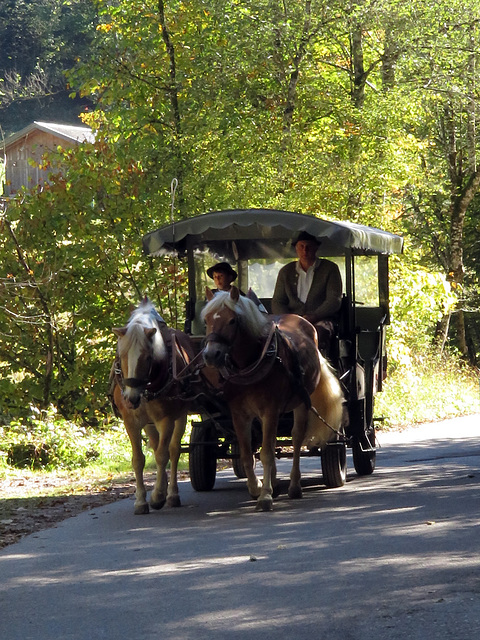 Horse-drawn carriage on the way down into the valley.