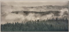 Mist layers from Gummer's How