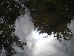 Reflected sky