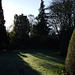 Fulbourn garden 2012-12-02 007