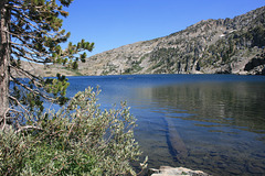 Winnemucca Lake