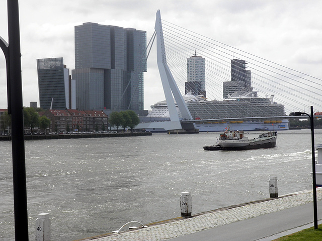 "MAASHATTAN" - die Skyline von Rotterdam