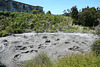 Volcanic Mud Pool At Whakarewarewa