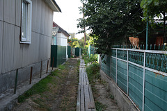 Украина, Вилково, Рыжий кот на заборе / Ukraine, Vilkovo, Ginger cat on the fence