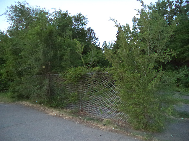 Plante contre clôture / Land for lease fence