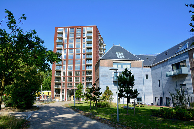 New apartment buildings in place of the Clusius Lab