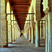 Kairouan : il doppio colonnato della moskea Ucba