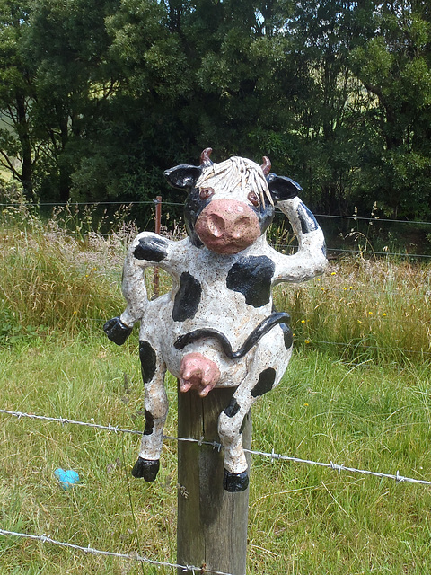 gatekeeper cow