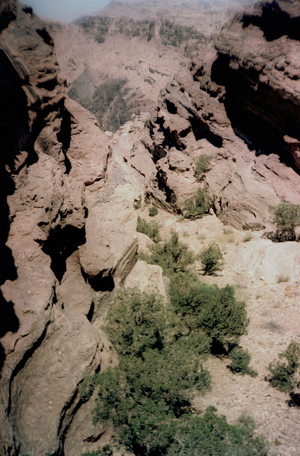 A view to Wadi Mousa.