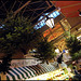 Christmas trees in the market