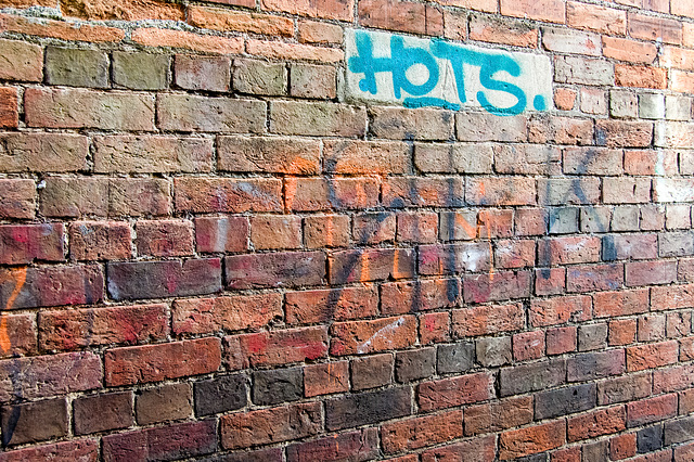 08.41 Brick Wall With The Hots