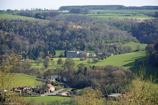Hackness - viewed from Wykeham Forest