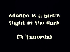 o silêncio é um voo de pássaro na escuridão