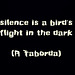 o silêncio é um voo de pássaro na escuridão