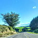 West of Rotorua