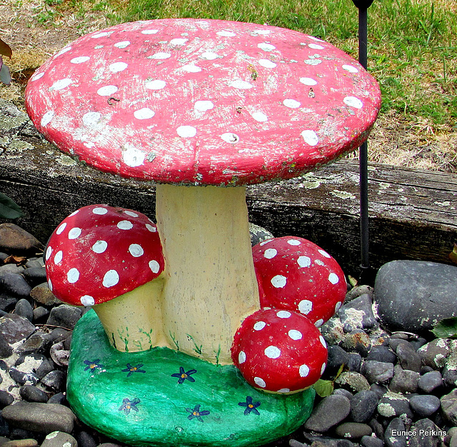 Garden Mushrooms.