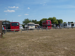 Stonham Barns 'The Big Bus Show' - 14 Aug 2022 (P1130020)