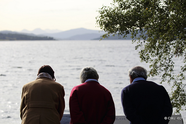 Visitors reading about the prehistoric fish which live in Loch Rannoch