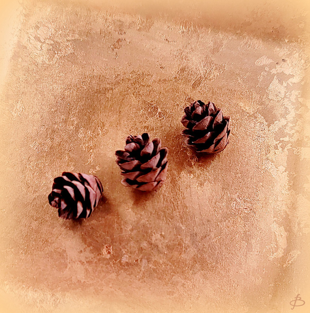 Three Tiny Pine Cones