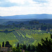 Tuscany 2015 San Gimignano 9 XPro1