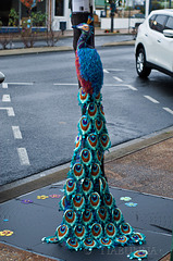 An ornamental peacock jumper.