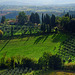 Tuscany 2015 San Gimignano 10 XPro1