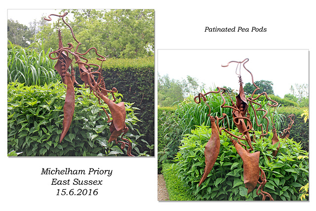 Patinated Pea Pods Michelham Priory 15 6 2016