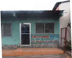 Clinique vétérinaire panamanéenne