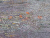 Detail of Water Lilies by Monet in the Museum of Modern Art, August 2010