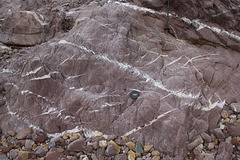 En-echelon quartz veins, Marloes, Pembrokeshire 3