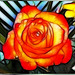 Rose in Fractal... ©UdoSm