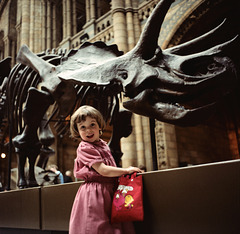 Triceratops - Natural History Museum, London - 1982