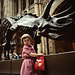 Triceratops - Natural History Museum, London - 1982