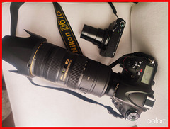 Contrastes de tamaños en cámaras fotográficas+(2PiP)