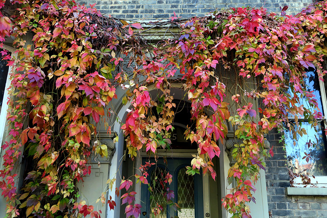 IMG 8931-001-Autumnal Doorway
