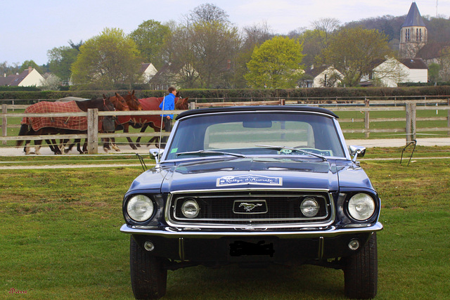 Une "Mustang" 4 Chevaux !!!