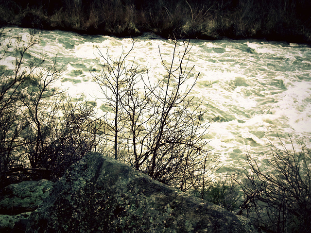Klamath River rush