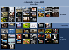 Ambassador Images 2023, November