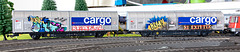 210217 Piko wagon tag 0