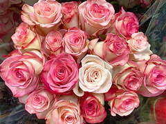 Bouquet at Costco